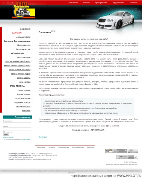  Образец портфолио - Интернет и мультимедиа. NetCrafted - Челябинск